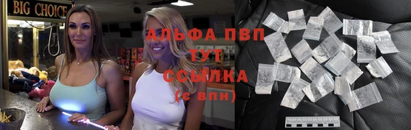 сатива Армянск