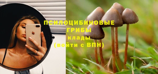 трава Аркадак
