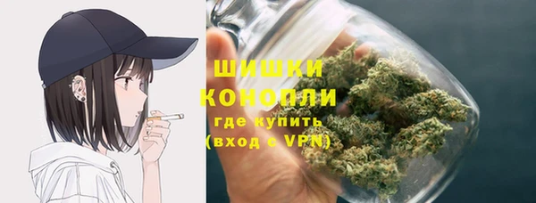 трава Аркадак