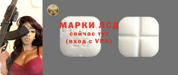 сатива Армянск