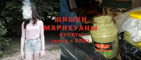 сатива Армянск