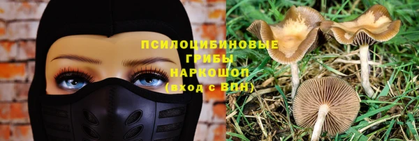 a pvp Арсеньев